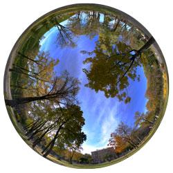 Осень. Fish-eye edition