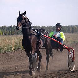 46. Съемка компактным цифровым фотоаппаратом в «экстремальных» ситуациях