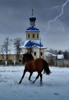 Живой (ассциации :живой мир и город)