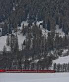 Альпийский красный